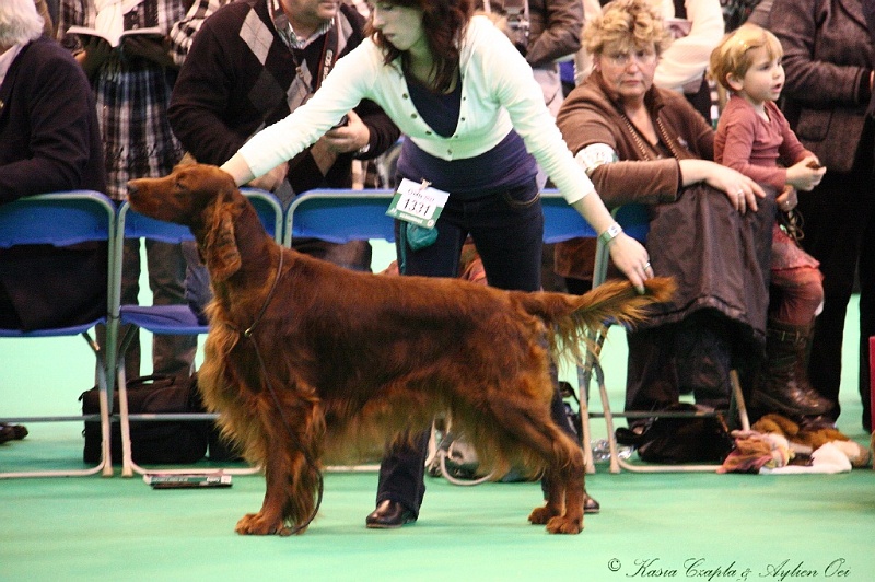 Crufts2011_2 023.jpg